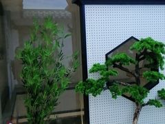 -徽鼎顺·臭鳜鱼 虾仁灌汤包(和平路店)