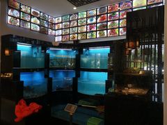 水产区-千岛湖小鱼儿·淳安匠心农家菜