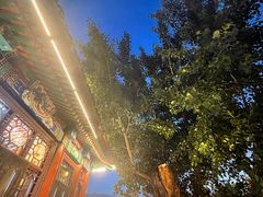 -管氏翅吧(地安门创始店)
