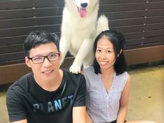 -TrueLove @ Neverland (Husky Cafe)