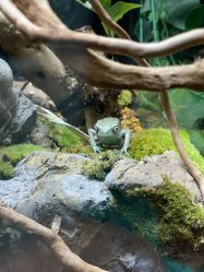 -Zoolung Zoolung动物主题公园(海信广场店)