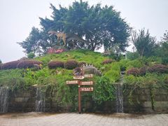 -自贡恐龙博物馆