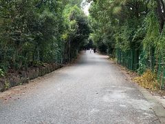 -雨花胜境