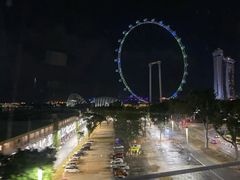 -新加坡摩天观景轮