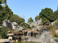 -东莞植物园