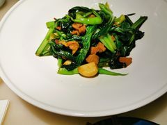 油渣青菜-桂满陇天书(南京德基旗舰店)