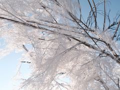 -雾凇岛