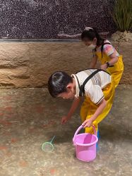 -造物庄园 萌宠纪(苏州湾歌林公园店)