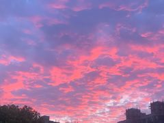 -上海月星家居(澳门路店)