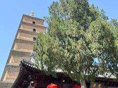 -大慈恩寺(大雁塔)