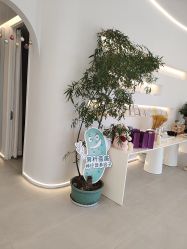 -紫琪尔·匠心连锁·胸部护理养护