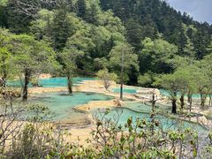 -黄龙山原始森林景区