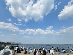 -大邱大包