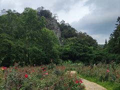 -广州市石门国家森林公园