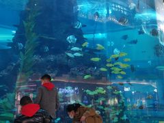 -鸿通城购物中心