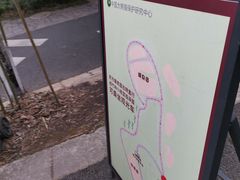 -都江堰中华大熊猫苑