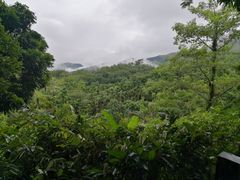 -呀诺达热带雨林