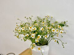 -素咫咖啡CLIFEROSE(新安店)
