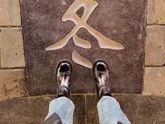 -淄博花灯齐彩城