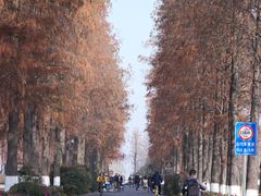-东湖落雁景区