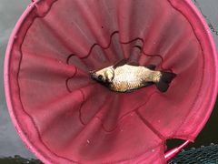 -酷鱼垂钓CLUB(朝阳区博大路店 )