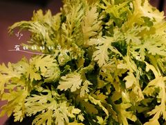 皇帝菜-捞王猪肚鸡火锅(财富中心店)