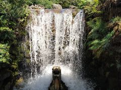 -深圳仙湖植物园