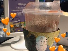 -野萃山·潮汕厚果汁(十亩地店)