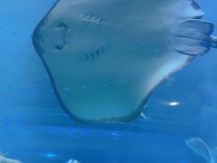 -海合安青岛极地海洋公园