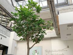 -大树餐厅(红旗街万达店)