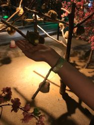 -酷嗒动物文化乐园(cutezoo西溪乐天城店)