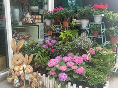-FEI FEI FLOWER鲜花店·气球派对·宝宝宴布置(虹口德必运动Loft店)