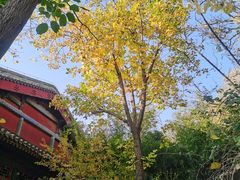 -恭王府博物馆
