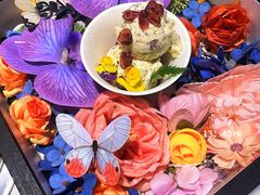 -花菇朵 ll 野生菌锅·精品滇菜(后沙峪店)