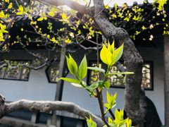 -济南方特东方神画