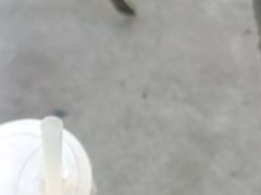 -昼夜咖啡馆