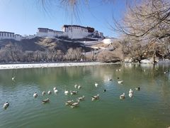 -宗角禄康公园