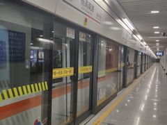 -杨高南路(地铁站)