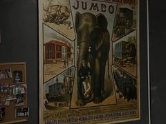 -X先生·MRX沉浸密室(厦门双子塔海景店)