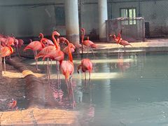 -石家庄市动物园