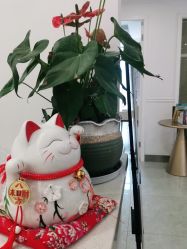 -丽都整形美容医院·全国连锁旗舰店