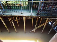 -崖口红树林海鲜餐厅