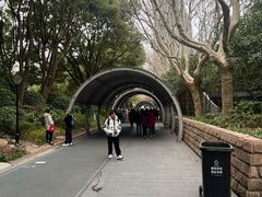 -人民公园-相亲角