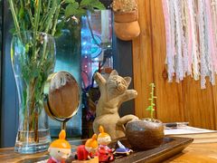 -No Cat 手碟