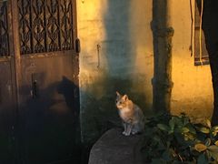 -大明铜锅·烤涮坊·烧烤(总店)
