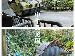 -中华恐龙园