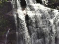 -海南热带雨林国家公园吊罗山景区