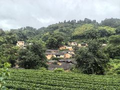 -杨家堂村