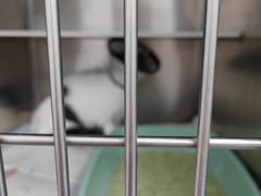 -良伴无忧宠物医院(泰欣嘉园店)