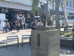 -涩谷全向十字路口